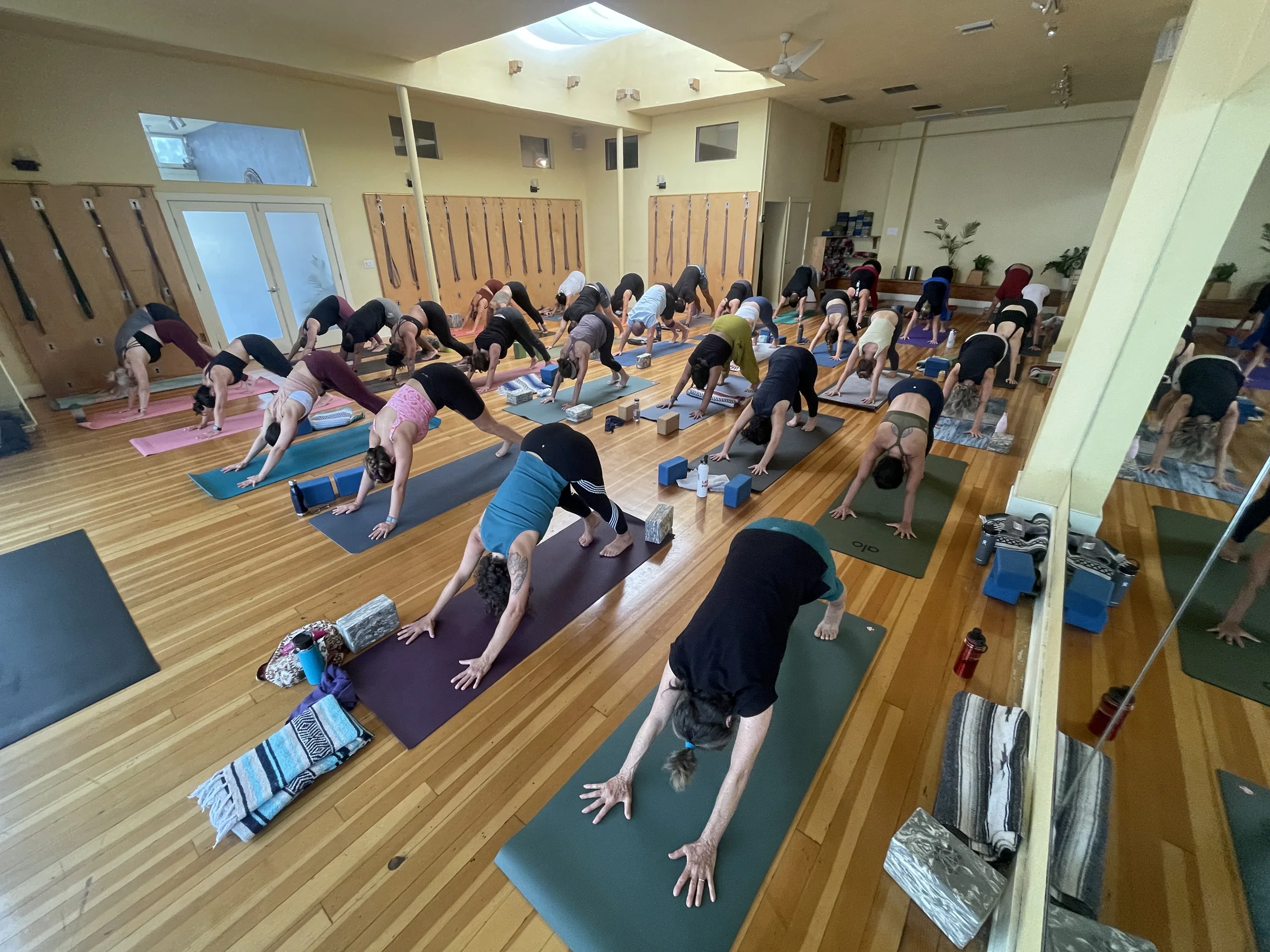 A full teacher-training cohort practicing together at South Park Yoga.